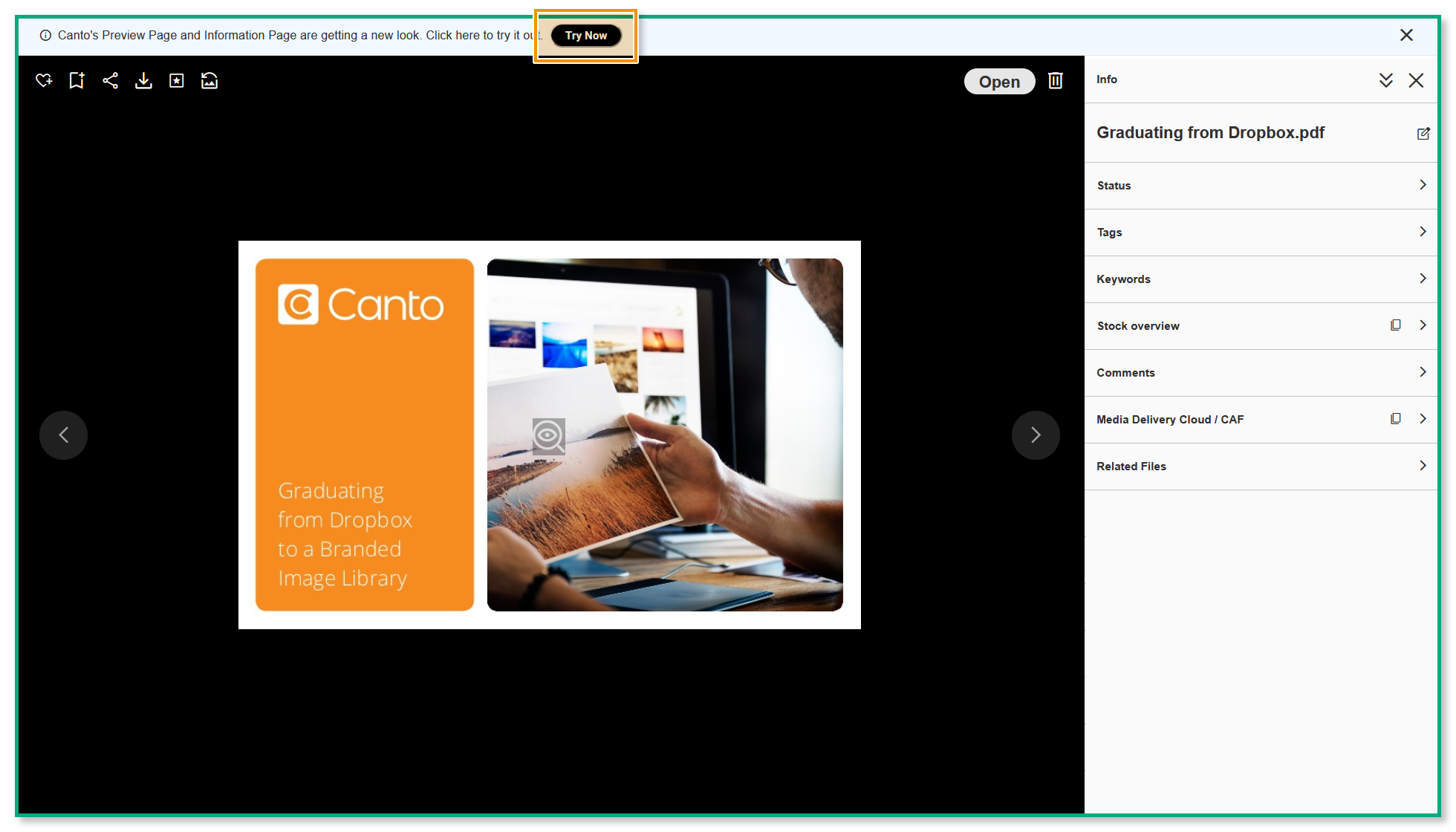 The asset Preview Page - the "Try Now" button at the top is highlighted.