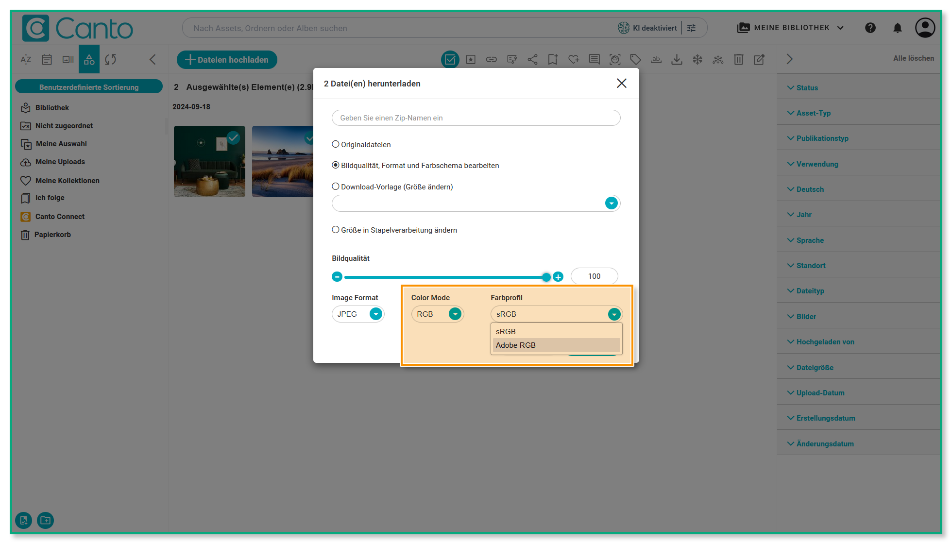 Das Stapel-Download-Overlay - die Option "Bildqualität, Format und Farbschema bearbeiten" ist ausgewählt, und die RGB-Auswahl ist hervorgehoben.
