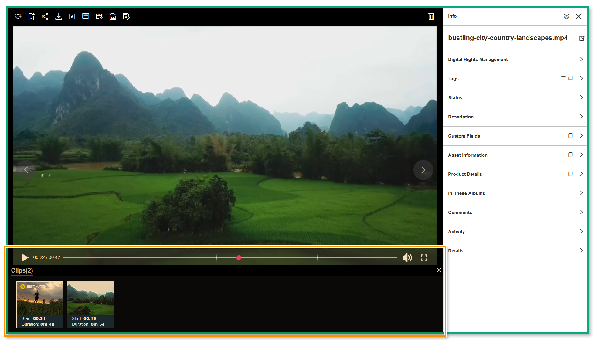 An asset's Preview page - the bottom of the screen is highlighted, showing results provided by AI Visual Search