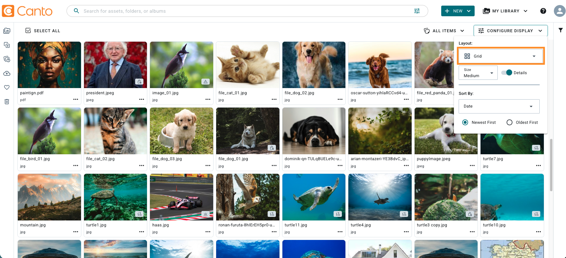 Grid view.png